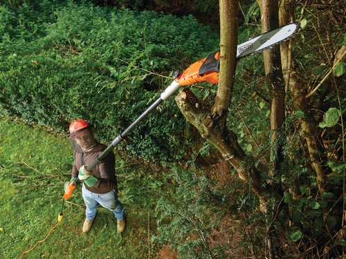 Black and Decker - 800W 25cm Magassgi gazfrsz - PS7525
